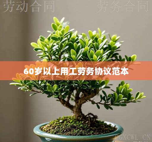60岁以上用工劳务协议范本