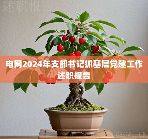 电网2024年支部书记抓基层党建工作述职报告